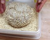 A picture of step 12 of Roggenmischbrot / Rye Bread with Wild Grape or Raisin Yeast [Bakery Recipe].