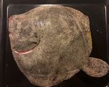 Foto del paso 2 de la receta: Rodaballo al horno con bilbaína