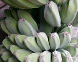 Foto langkah ke 1 dari resep Keripik Pisang Asin.