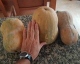 Foto del paso 1 de la receta: Calabaza Asada en Olla de Cocción Lenta
