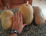Foto del paso 1 de la receta: Calabaza Asada en Olla de Cocción Lenta