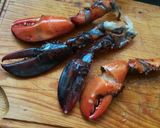 Foto del paso 8 de la receta: Arroz caldoso de bogavante