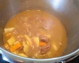 Foto del paso 9 de la receta: Estofado de ternera con patatas (en olla exprés)