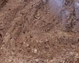 Foto del passaggio 1 della ricetta Fettuccine al cacao burro e salvia