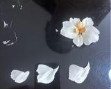Hình bước làm 4 của món Dùng Cream Cheese trang trí bánh (cheese cake decoration)