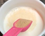 椰皇燉鮮奶的食譜步驟2照片