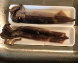 A picture of step 2 of Squid 🦑 and Daikon (Ikadaikon).