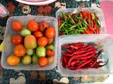 Lidah sapi balado