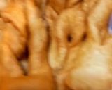 Foto del paso 7 de la receta: 🤣💔Calzones Rotos💔🤣