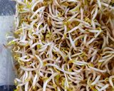 Foto langkah ke 1 dari resep Tumis pakcoy tauge.