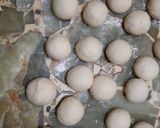 Foto del paso 2 de la receta: Pletzalej