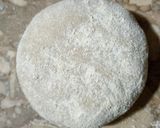 A picture of step 4 of Simple tawa roti.