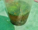 Foto del paso 7 de la receta: Mojito