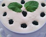 Vegyes gyümölcsös, joghurttorta recept fázis 7 fotója