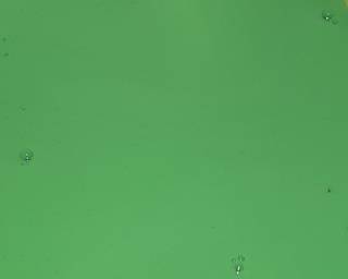 Cendol dawet home made - Step 1