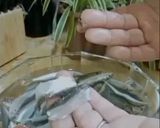 صورة لخطوة 1 من وصفة دولمة سردين