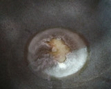 A picture of step 2 of Dates and Nuts Laddu.
