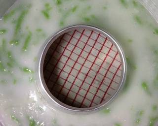 Puding CENDOL LUMUT - Step 2