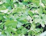 A picture of step 5 of Karela Saag Cutlets (Bitter gourd).