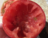 Foto del paso 5 de la receta: Tomates rellenos 🍅