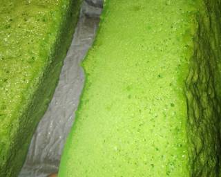 🍸Cake Cendol🍸 #tantanganakhirtahun #masakditahunbaru - Step 12