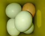 Foto langkah ke 3 dari resep Telur Asin Homemade (Masir).