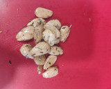 Foto del paso 2 de la receta: Codornices al vino tinto