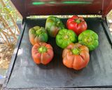 Foto del paso 1 de la receta: Pimientos a la barbacoa con tortelinis