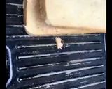 A picture of step 7 of Sandwich.