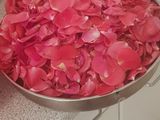 مربى الورد