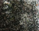 Foto del paso 4 de la receta Arroz sorpresón