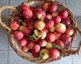 Foto del paso 2 de la receta: Lomo con manzanas y algo más
