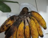 Foto langkah ke 1 dari resep Carang Gesing.
