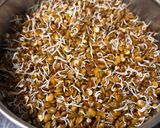 A picture of step 1 of Sprouted horse gram masala.