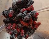Foto langkah ke 3 dari resep Mulberry Sorbet.