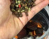 Une image de l'étape 1 de Boisson indienne au carottes et betteraves rouges.