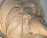 Foto del paso 5 de la receta: Lotus cream pie