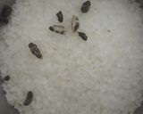 A picture of step 2 of Chana dal burfi.
