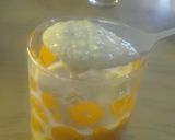 Foto del paso 3 de la receta: Yogurt proteico vegano