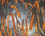 A picture of step 7 of Carrot Peel Crispy Crunchy Chips 🥕😋.