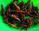 Foto langkah ke 5 dari resep Walang goreng.