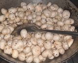 A picture of step 4 of Royal Falahari Chat.