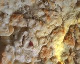 Foto del paso 4 de la receta: Mbeyú