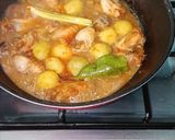 Foto langkah ke 3 dari resep Opor Ayam Kentang Bumbu Kuning Bersantan.