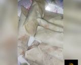 A picture of step 3 of Chinese Spring Roll Recipe.