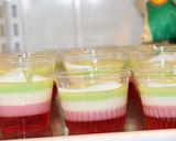 Foto del paso 5 de la receta: Gelatina arcoíris tricolor