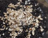 કચરિયું(Kachariyu Recipe in Gujarati) રેસીપી સ્ટેપ4ફોટો