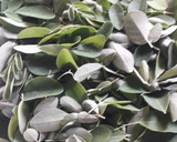 முருங்கைக் கீரை கடையல் ரெசிபி ஸ்டேப் 2 புகைப்படம்