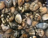 Foto del paso 1 de la receta: Spaghetti alle vongole