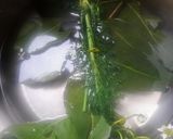 Foto del paso 2 de la receta: Remedio casero con Eucalipto🇵🇪
